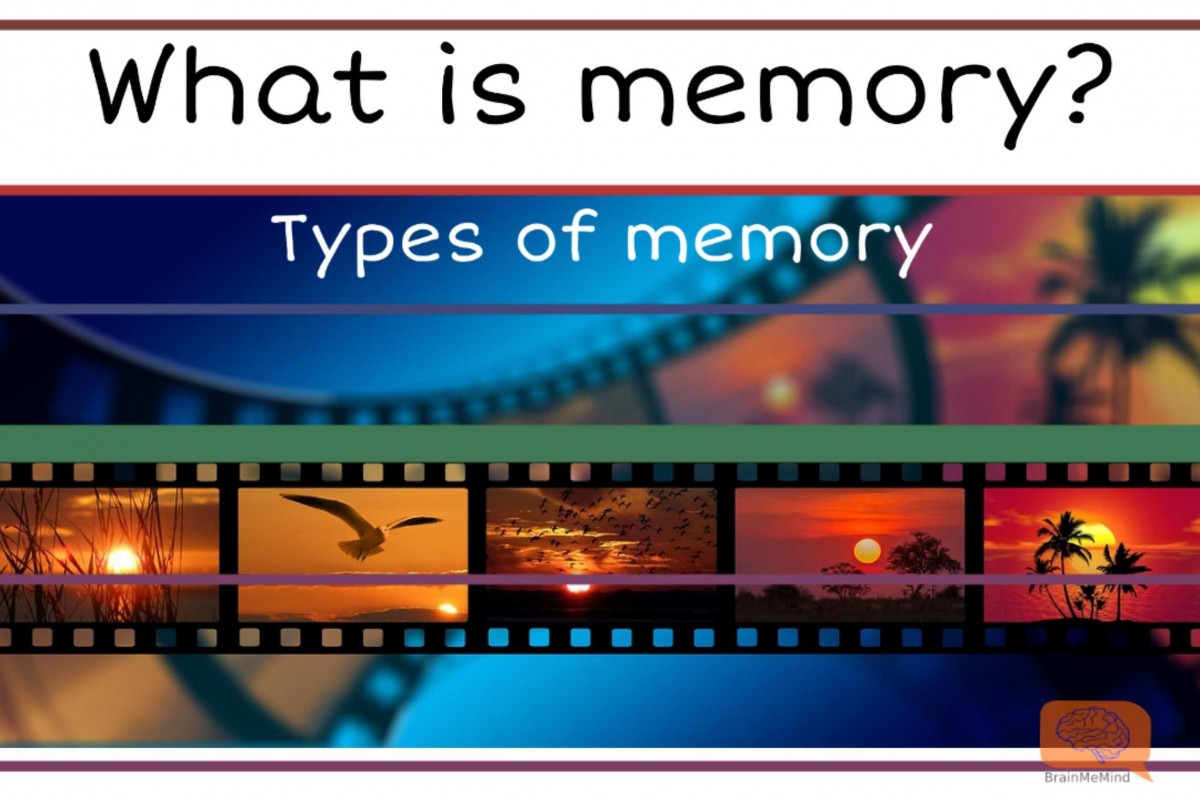 What is a memory? Types of memory