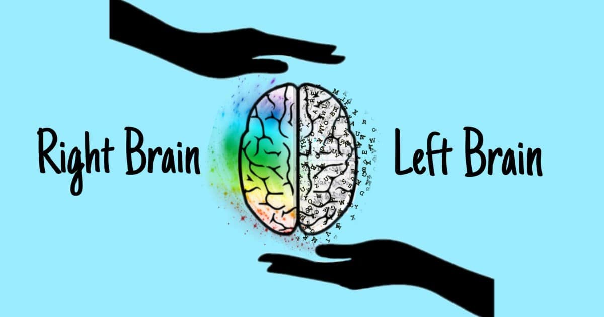 Left Brain vs Right Brain: Comparison and Qualities