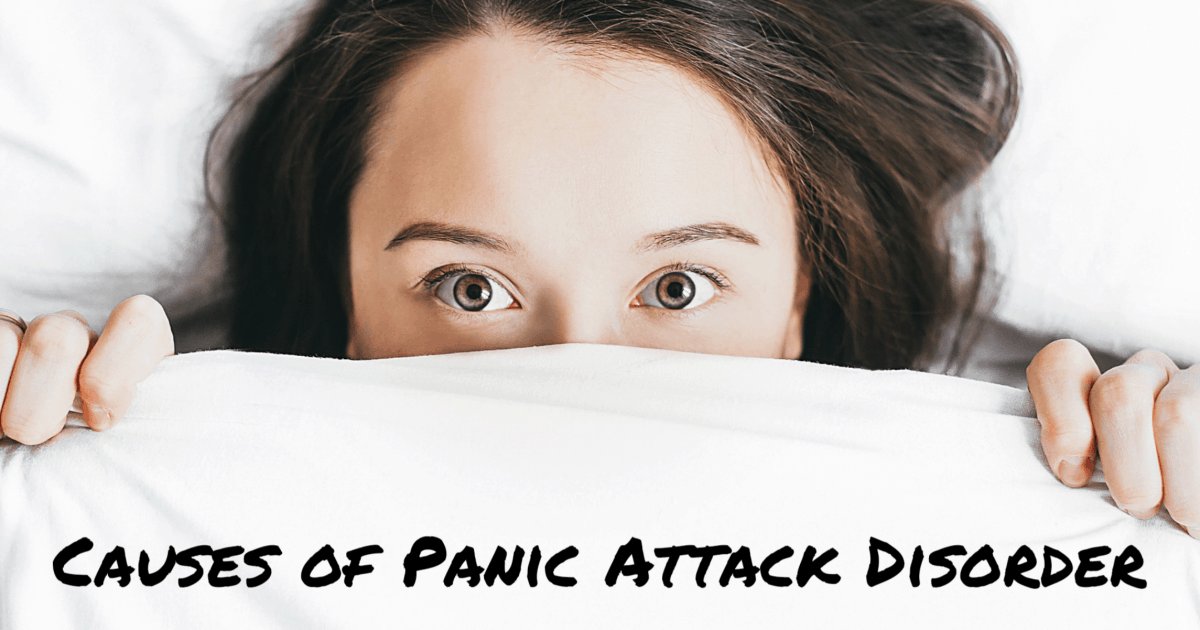 panic attack disorder