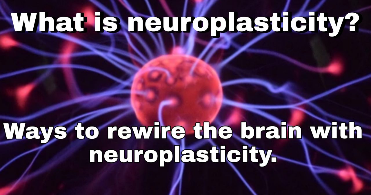 neuroplasticity